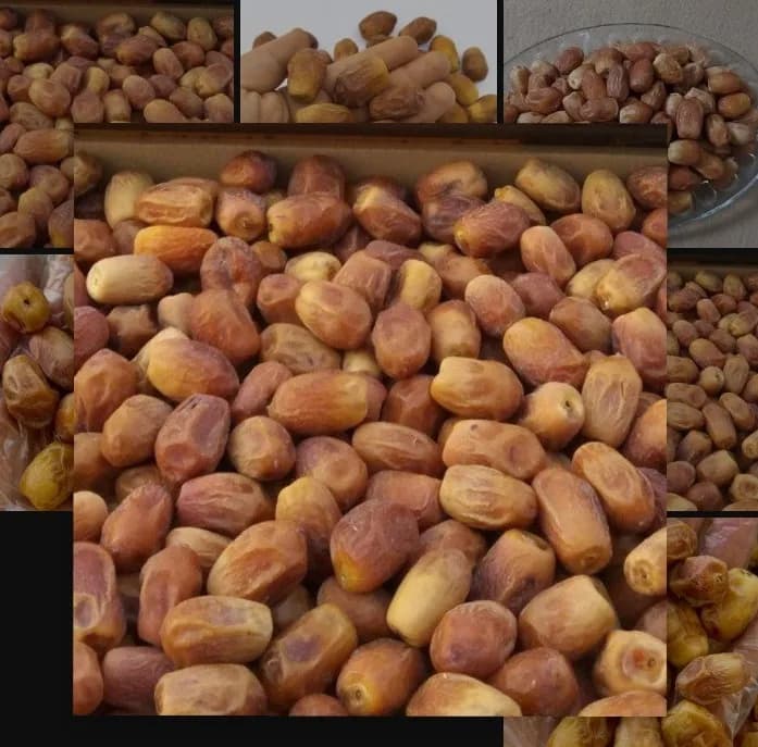 خرمای زاهدی – 10000 گرم — تصویر ۲