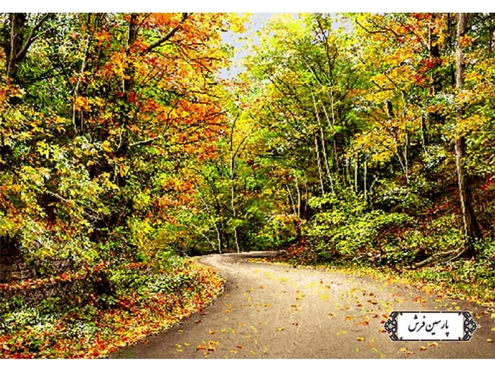 نخ و نقشه تابلو فرش دستباف جاده پاییزی – کد NV781