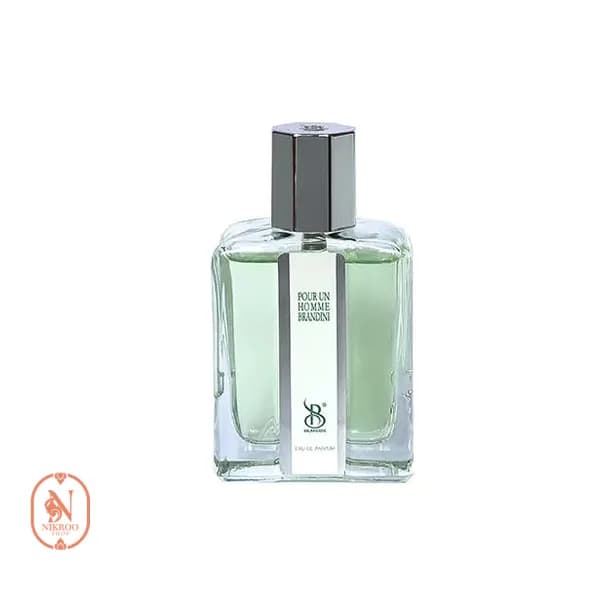 عطر جیبی برندینی پوران هوم مردانه 33 میل