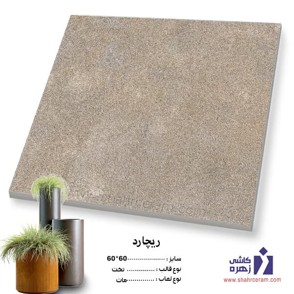 سرامیک حیاطی ریچارد 60*60 کاشی زهره