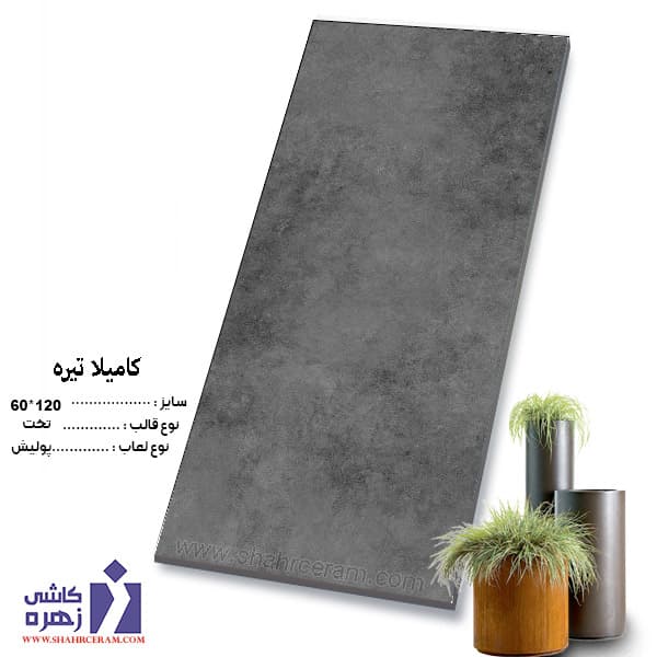 سرامیک کامیلا تیره 120*60 کاشی زهره