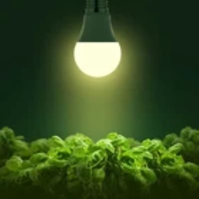 لامپهای LED مخصوص رشد گیاهان بسته 2 تایی — تصویر ۲