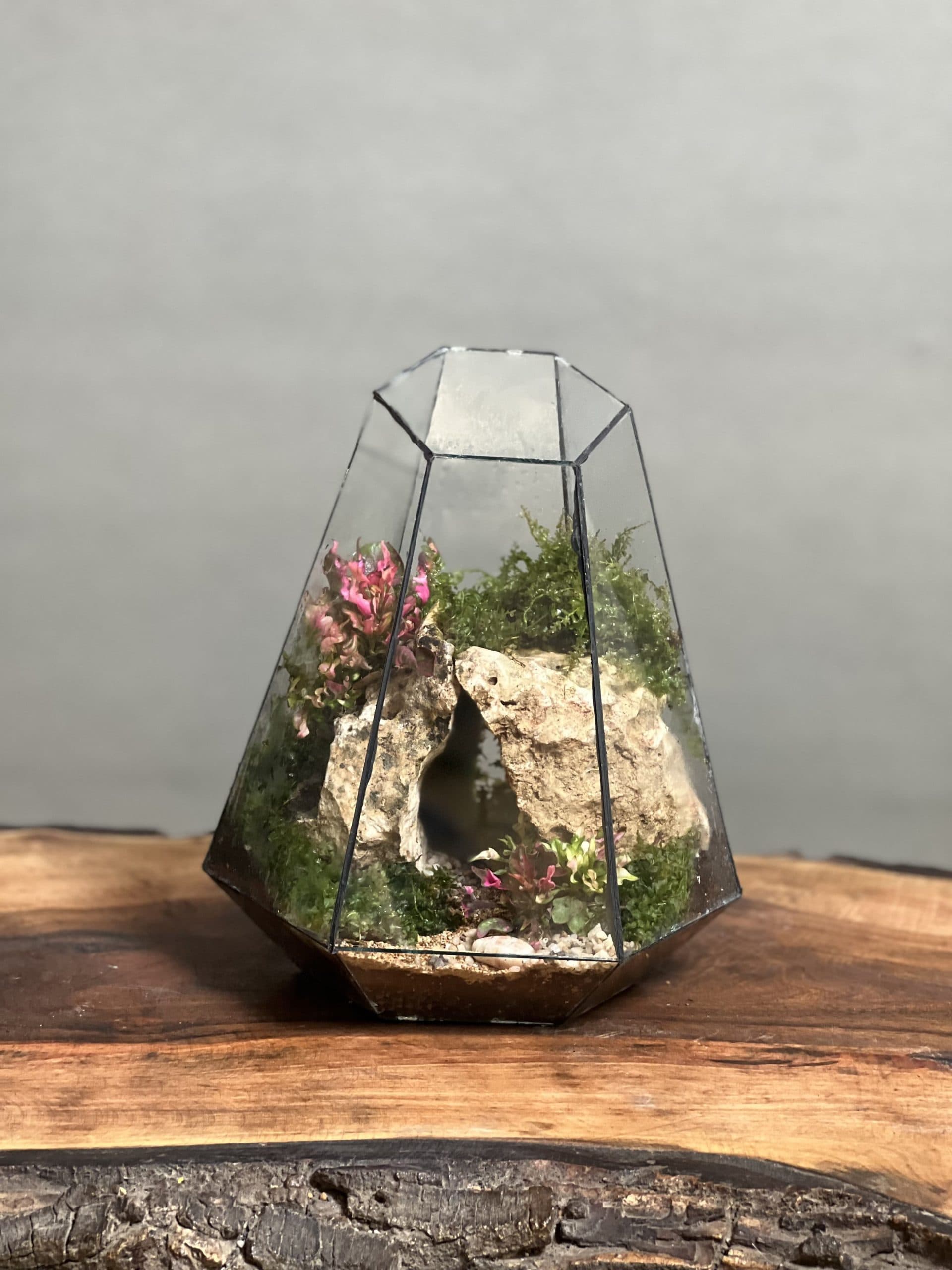 تراریوم طرح غار رویال — تصویر ۲
