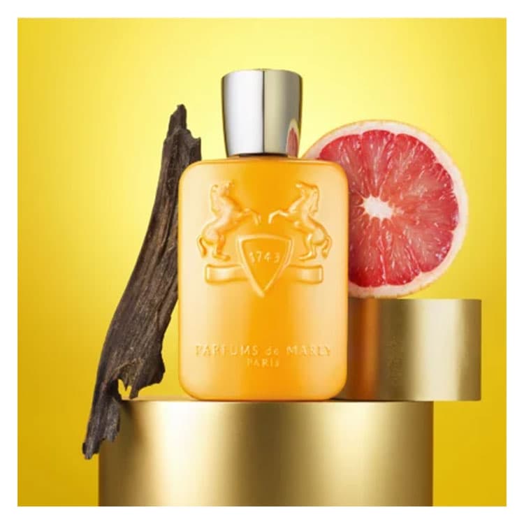 ادو پرفیوم مردانه PARFUMS de MARLY Perseus حجم 125 میلی لیتر — تصویر ۳