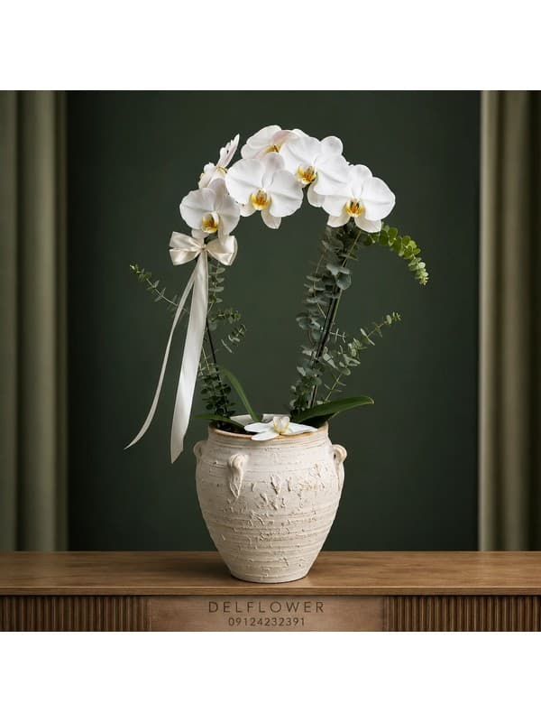 گل برای تشکر 0EE54F