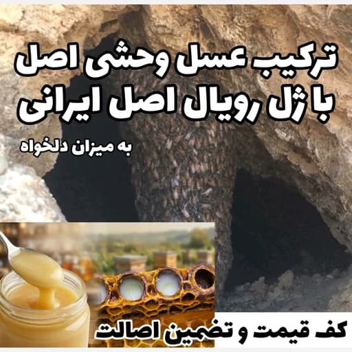 ژل رویال غذای ملکه درمانگربی نظیر اکسیر جوانی ترکیب با عسل وحشی اصل(خرید مستقیم اززنبوردار)ارسال رایگان با2م خرید ازغرفه