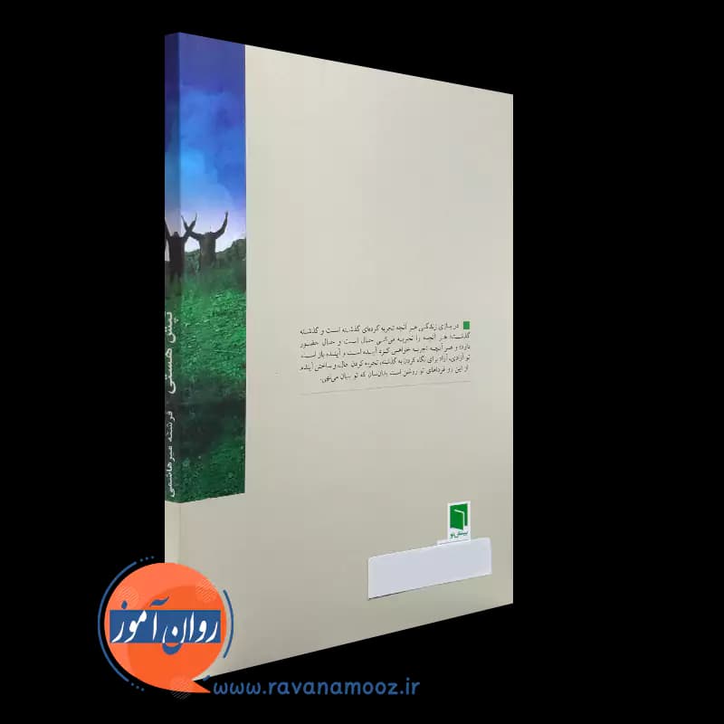 تپش هستی – فرشته میرهاشمی — تصویر ۳