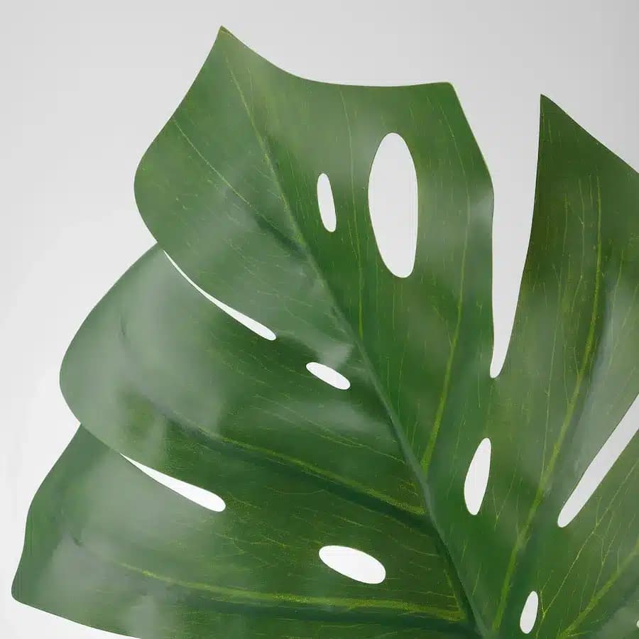 برگ مصنوعی ایکیا مدل SMYCKA مدل Monstera سبز ۸۰ سانتی‌متر — تصویر ۲