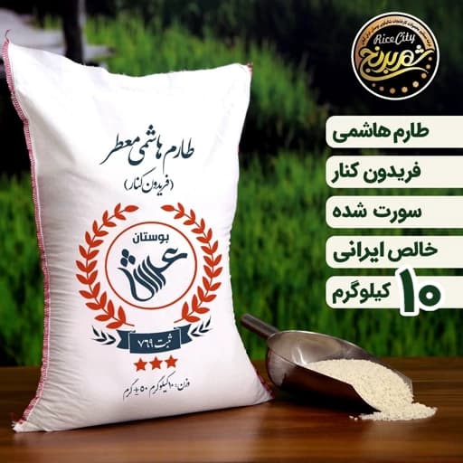 برنج طارم هاشمی گیلان درجه یک 10 کیلویی (تضمین کیفیت)