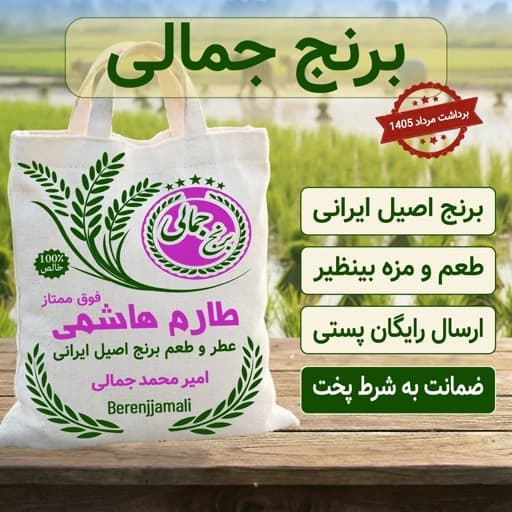 برنج طارم هاشمی فوق ممتاز محلی 50 کیلو عمده برنج جمالی