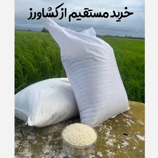 برنج ایرانی طارم هاشمی فوق ممتاز محلی (کشت اول) 5 و 10 کیلویی و بیشتر معطر اعلا درجه یک شمال