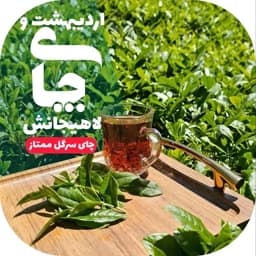 چای لاهیجان سیاه سرگل ممتاز بهاره 1000 گرمی اصل با ارسال رایگان با سبد خرید بالای... ارسال به کشور چای ایرانی شمال — تصویر ۲