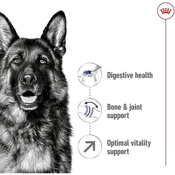 غذای خشک سگ مکسی ادالت رویال کنین Royal Canin وزن 4 کیلوگرم — تصویر ۵