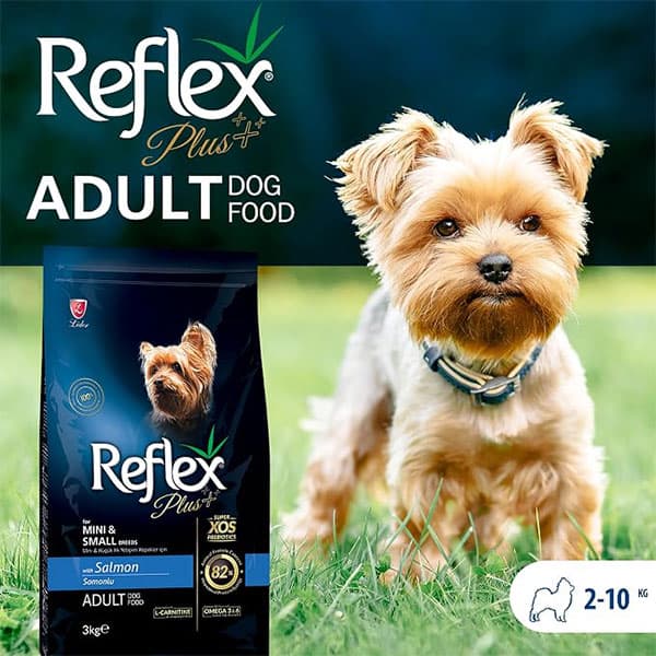 غذای خشک سگ بالغ نژاد کوچک طعم سالمون رفلکس پلاس Reflex Plus وزن 3 کیلوگرم — تصویر ۵