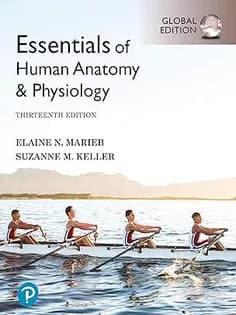 دانلود کتاب Essentials of Human Anatomy & Physiology 2021
