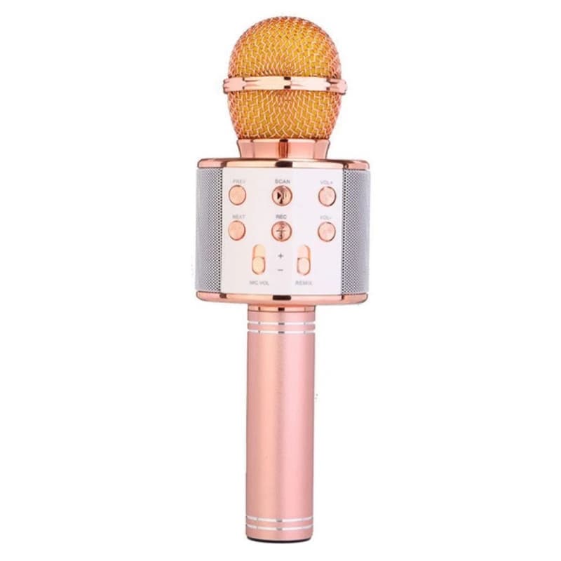 میکروفون اسپیکر مدل WS-858 کد K19000
