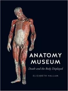 دانلود کتاب Anatomy Museum: Death and the Body Displayed