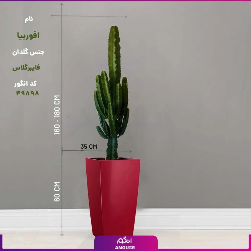گلدان ویژه فایبرگلاس رنگ قرمز مستطیل با افوربیا — تصویر ۲