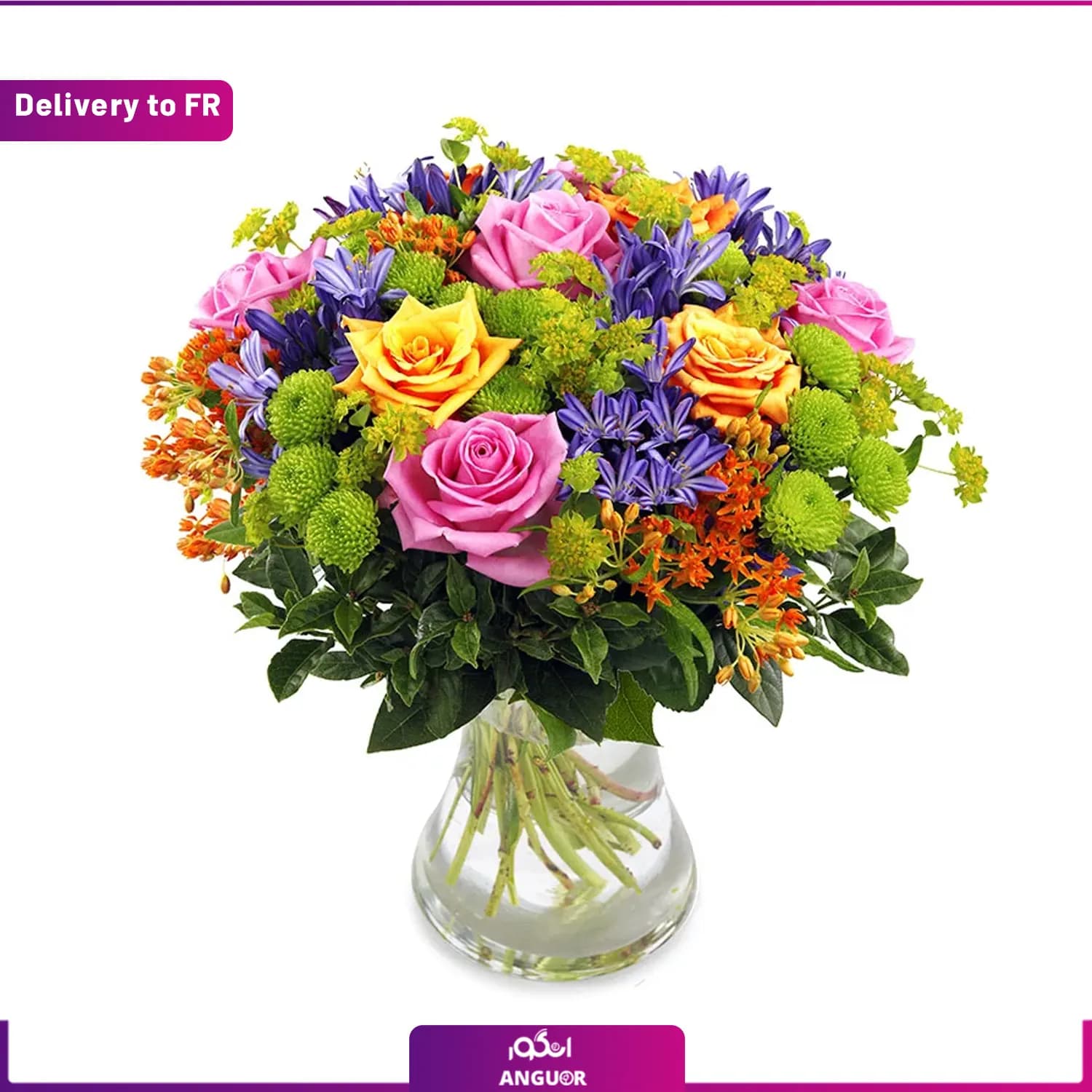 (Delivery to France) Joie de Vivre