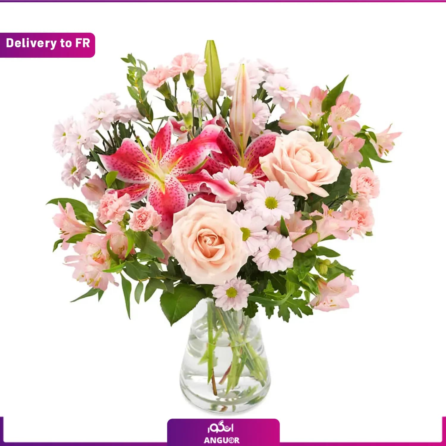 (Delivery to France) Câline