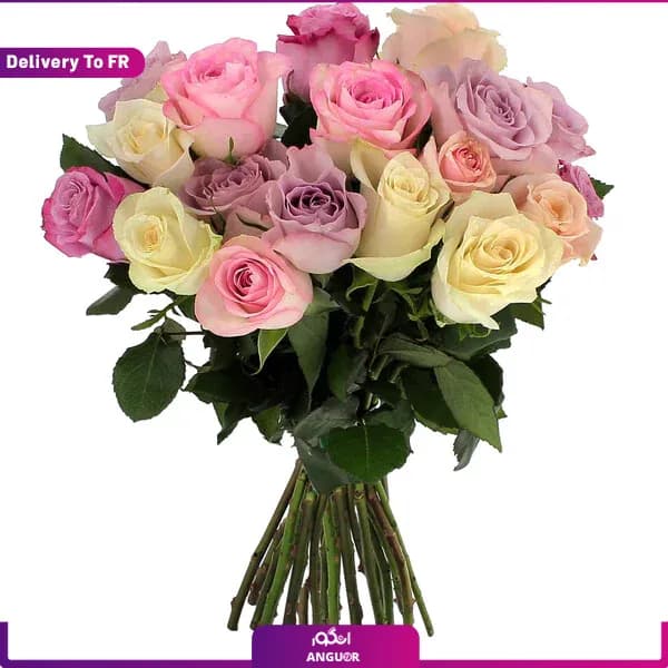 دسته گل رز 20 شاخه (تحویل در فرانسه)