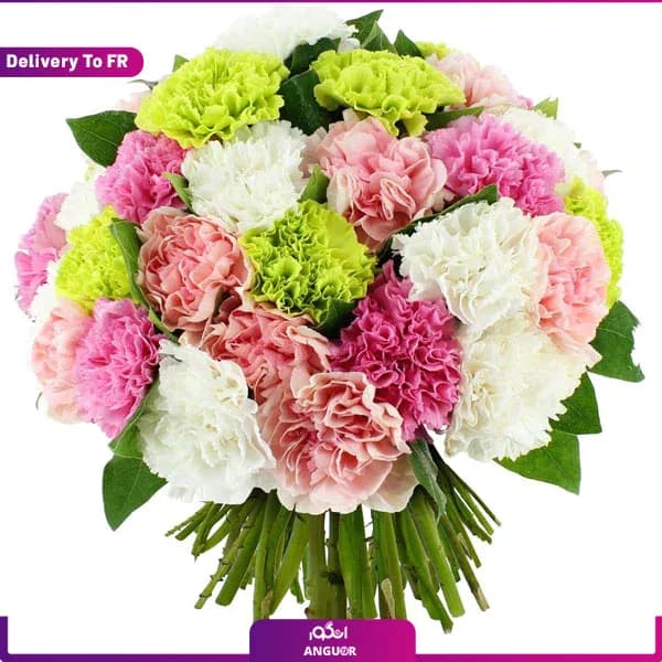 دسته گل میخک رنگین کمان (تحویل در فرانسه)