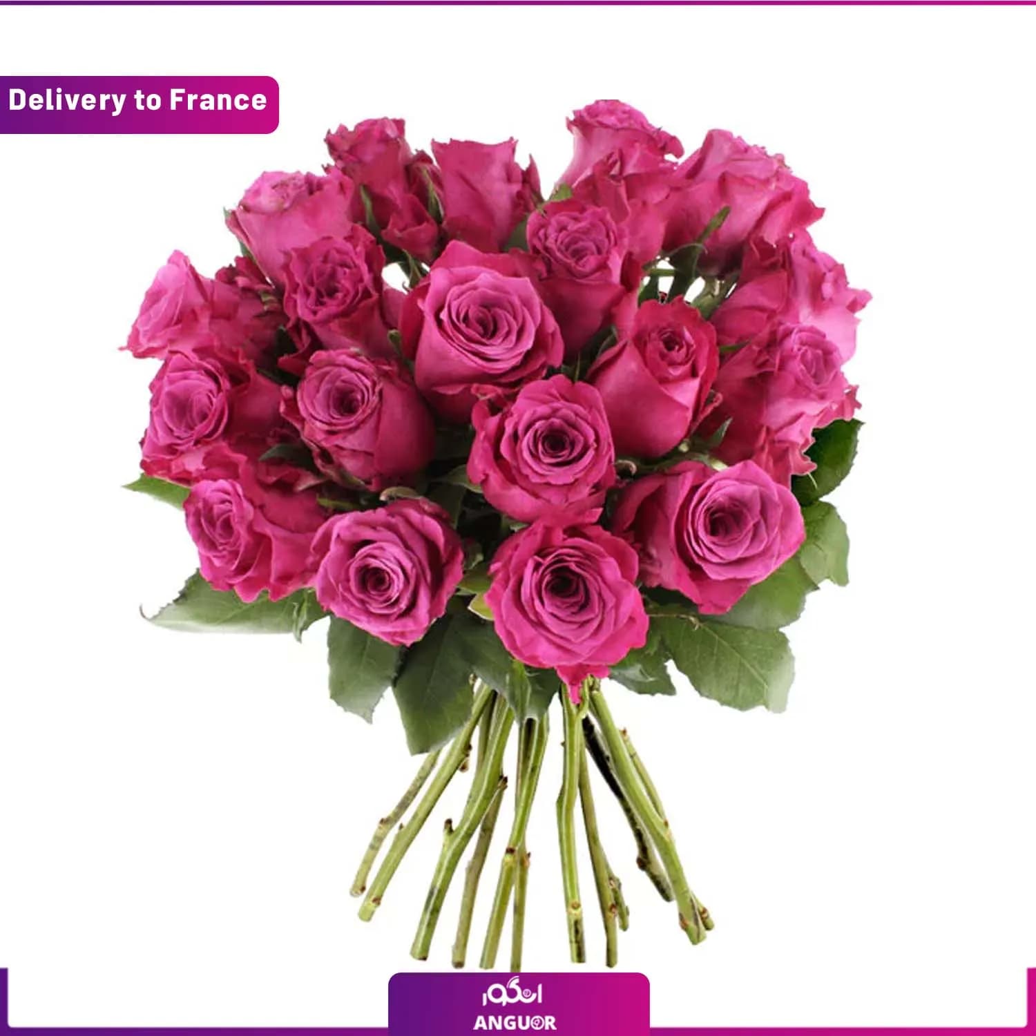 BOUQUET OF ROSES (Delivery to France)