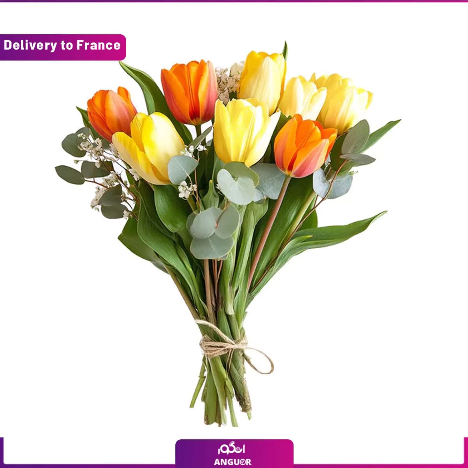 Tulip bouquet (Delivery to France)