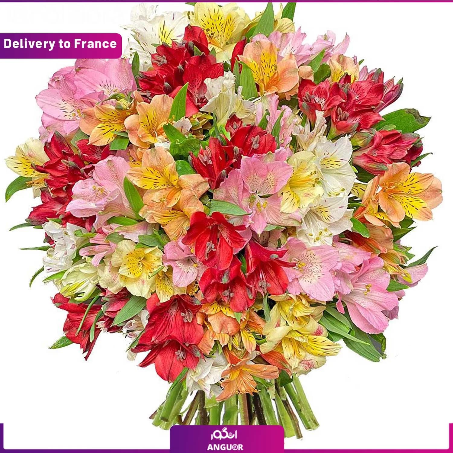 Alstroemeria bouquet (Delivery to France)
