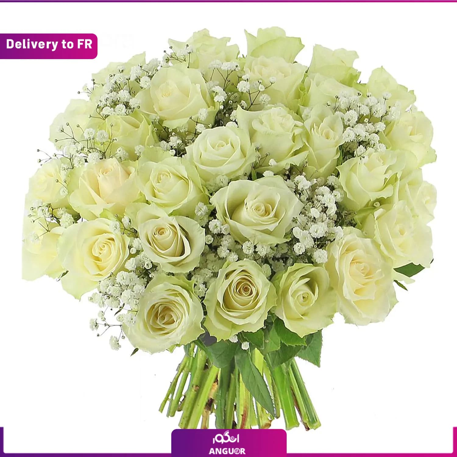 Radiance Roses (Delivery to France)