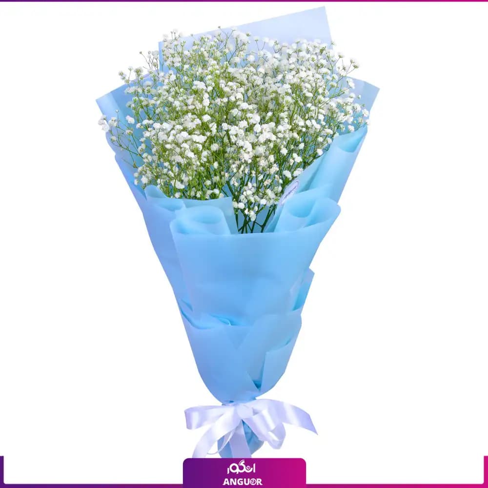 دسته گل مینی ژیپسوفیلا سفید (گل عروس)