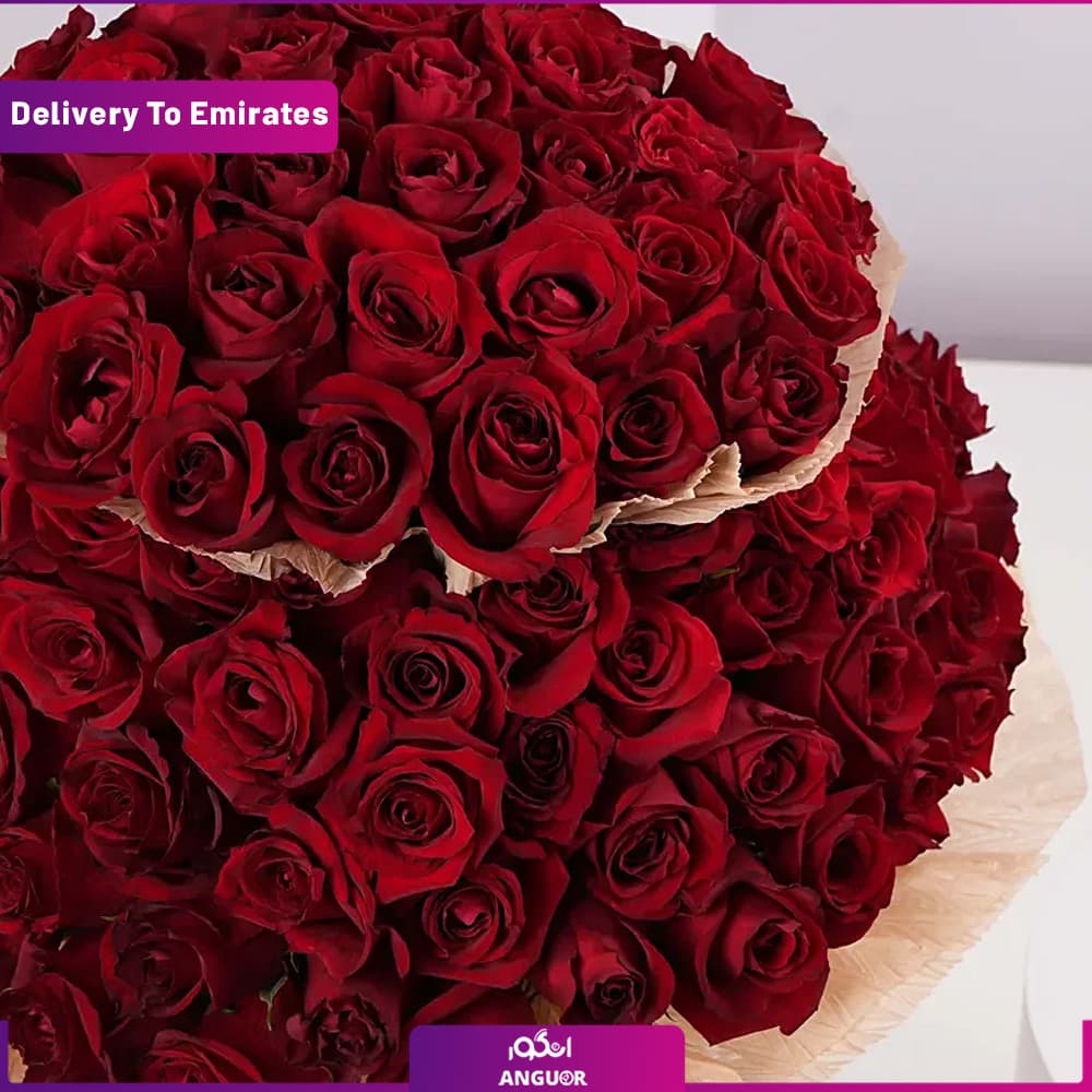 دسته گل ولنتاین با 200 شاخه رز ( دبی و امارات) — تصویر ۲
