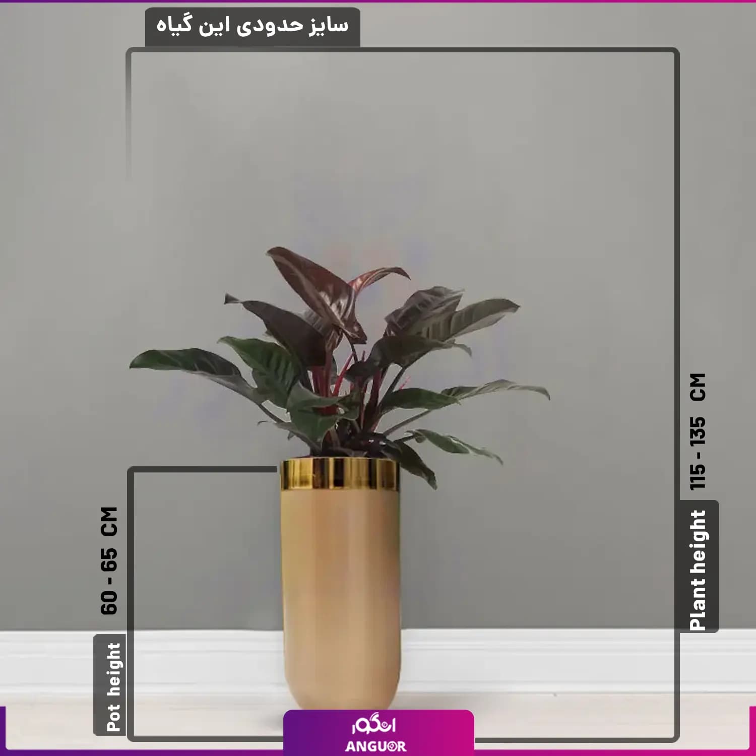گلدان هدیه لوکس بزرگ فیلودندرون بلک فایبر گلاس رنگ سفارشی — تصویر ۲