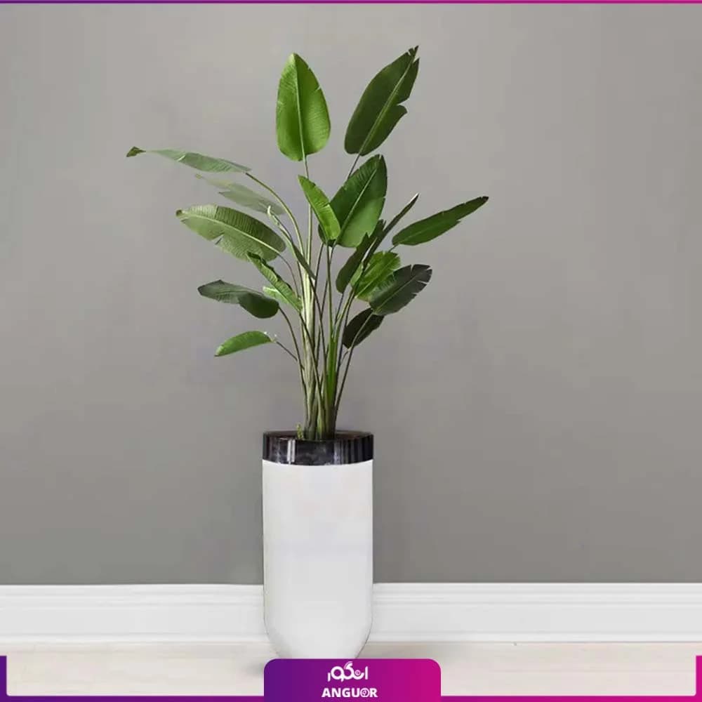 گلدان هدیه VIP فایبرگلاس با پرنده بهشتی + زیر گلدانی چرخدار
