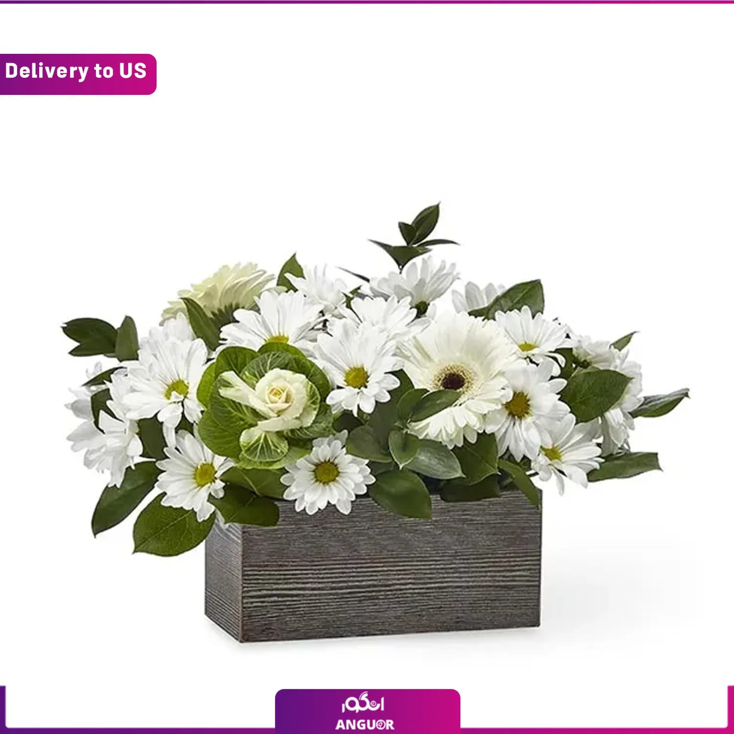 (Delivery to USA) Comfort and Love Basket