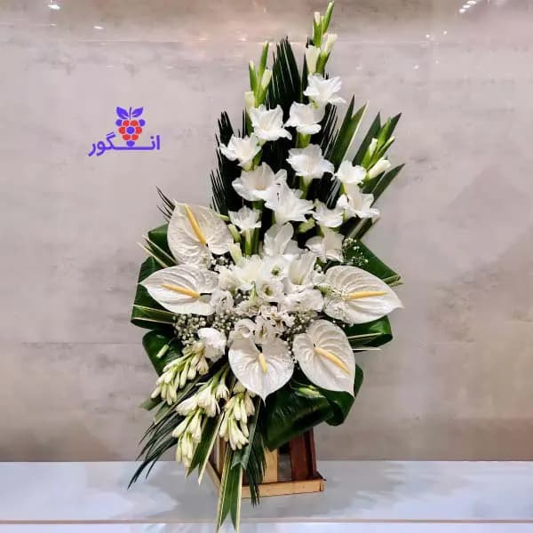 باکس گل سپیدار