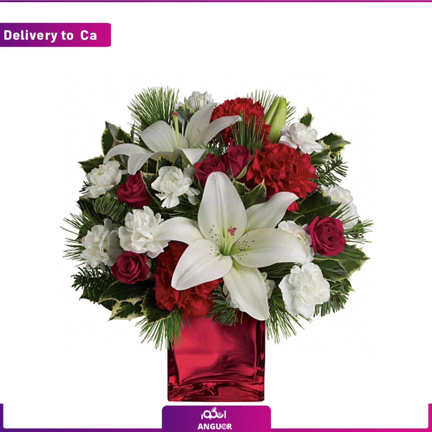باکس طرح جدید (ارسال گل به کانادا )