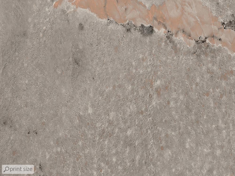 کاغذ دیواری مدل سنگ کلاسیک M10174800 — تصویر ۵