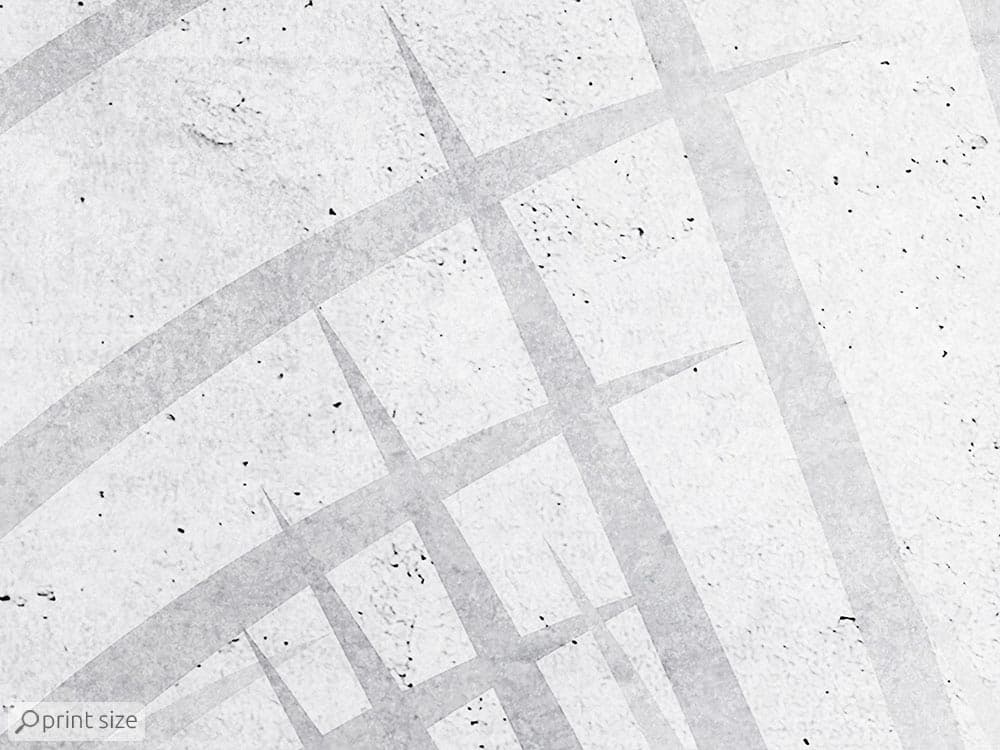 پوستر دیواری برگ نخل M10168900 — تصویر ۴