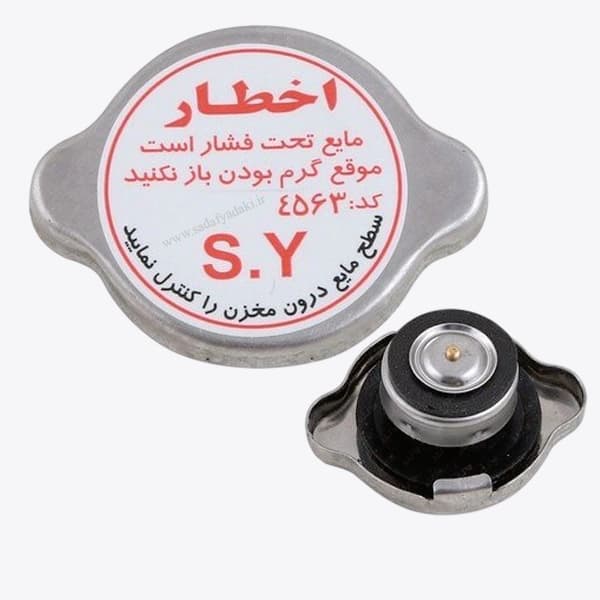 درب رادیاتور ریو IPNC