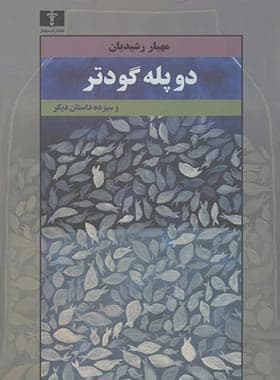 دو پله گودتر و سیزده داستان دیگر