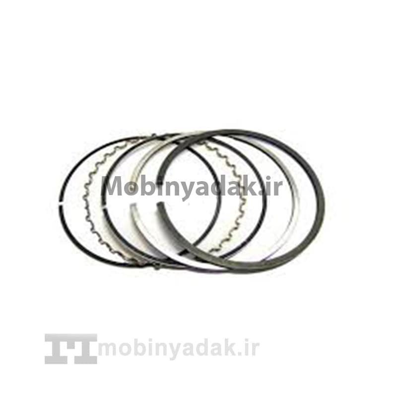 رینگ و پیستون دیگنیتی
