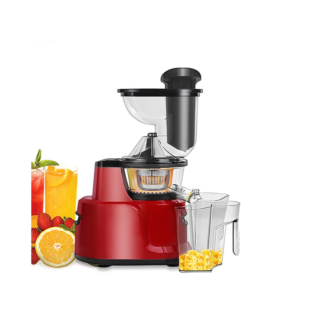 آبمیوه گیری دسینی مدل DS-98V5 — تصویر ۲
