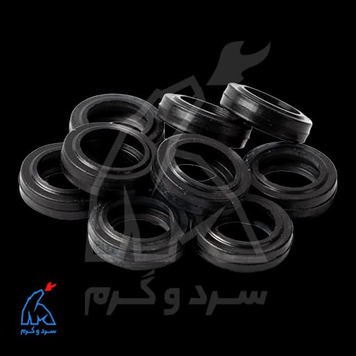 واشر پهن مبدل ثانویه CV، پارما، بیتا، ورونا، لورچ — تصویر ۳