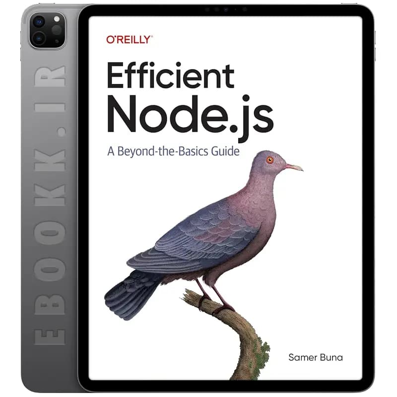 دانلود کتاب Efficient Node.js 2025