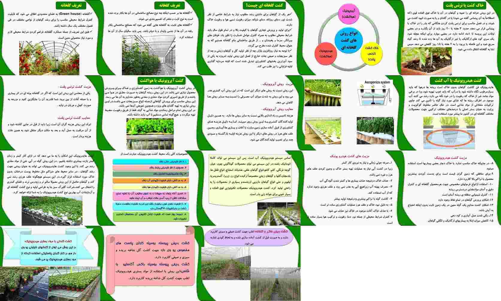 پروژه کشت گلخانه ای