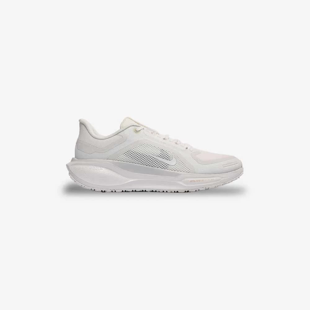 کتونی Nike مدل Pegasus 41 Gore-TEX – FQ1357-101