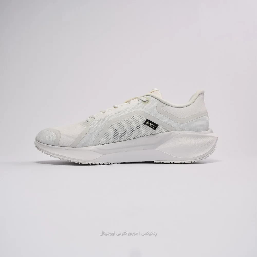 کتونی Nike مدل Pegasus 41 Gore-TEX – FQ1357-101 — تصویر ۲