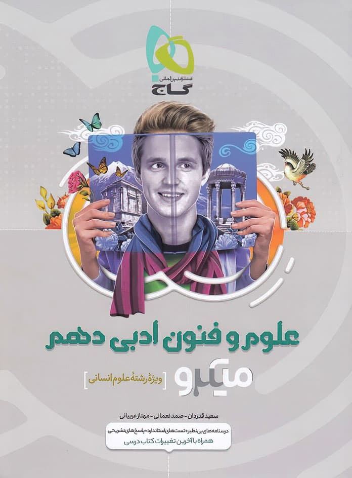علوم و فنون ادبی دهم انسانی میکرو طبقه بندی گاج