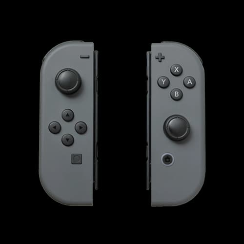 Nintendo Switch with Grey Joy-Con